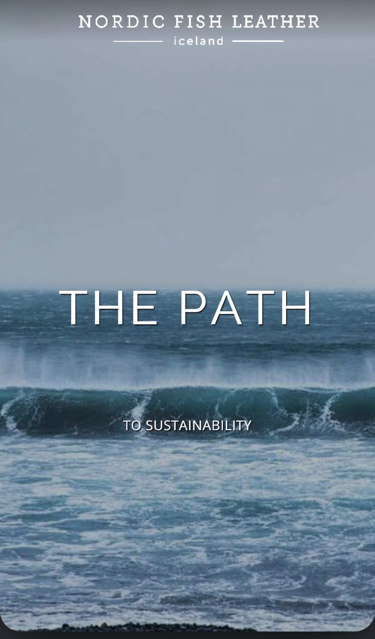 Ocean view in Iceland with the Nordic Fish Leather company name