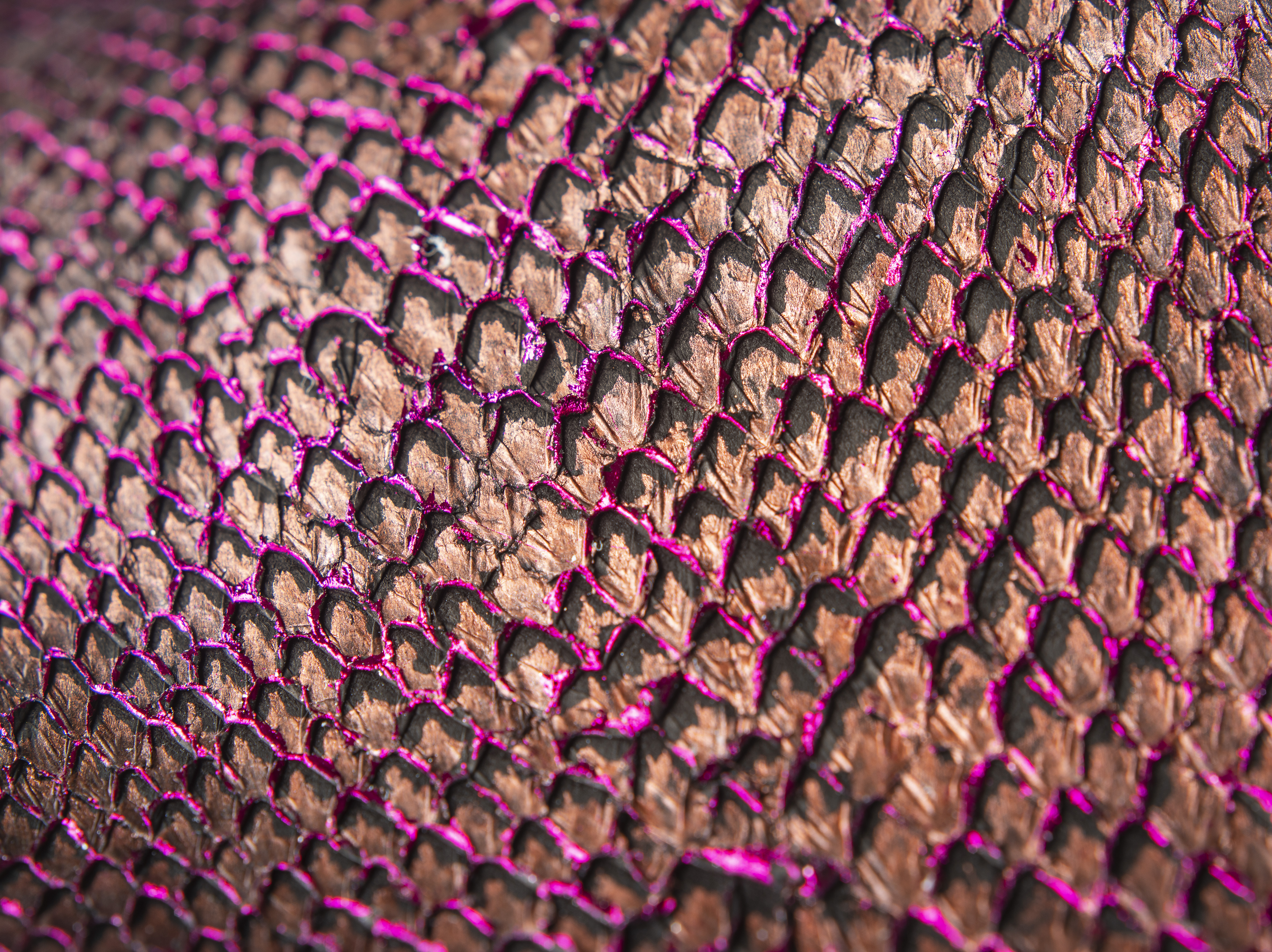 Salmon fish leather for leather craft